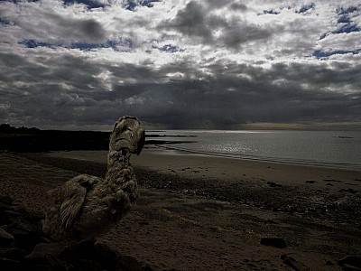 La plage oubliée